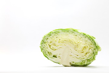 Fototapeta premium cabbage