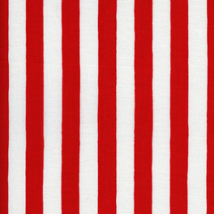 Endless striped fabric