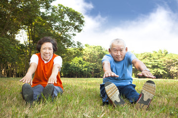 happy Senior couple in the park