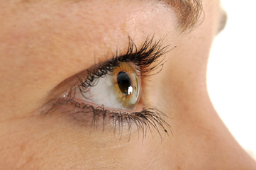 Auge in Nahaufnahme
