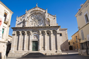 Fototapeta na wymiar Katedra Troia. Apulia. Włochy.