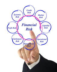 Diagram of financial risks