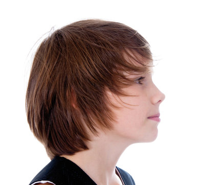 658 Best Stupsnase Images Stock Photos Vectors Adobe Stock