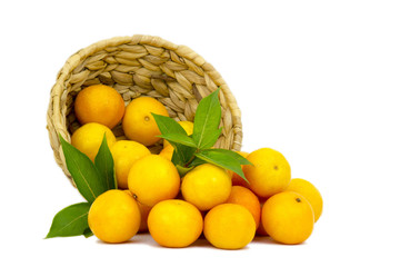 fresh tangerines on white