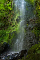 Obraz premium Mallyan Spout waterfall,North Yorkshire, England