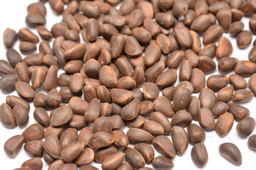 cedar nuts