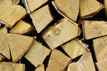 Stack of dried firewood of birch wood