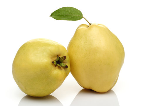 Two Quince