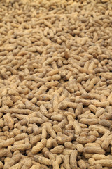 Peanuts pile