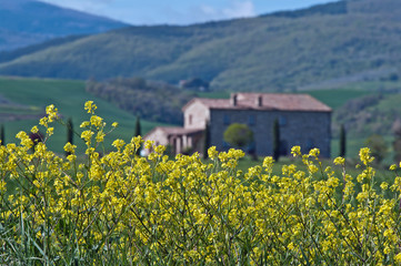 Primavera in Toscana