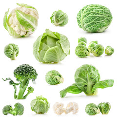 Collection of fresh cabbage, isolated on white background