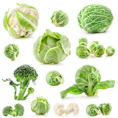 Fototapeta premium Collection of fresh cabbage, isolated on white background
