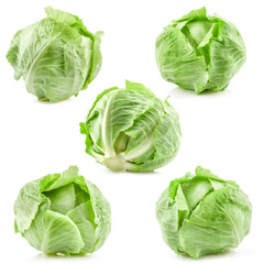 Fototapeta premium Collection of green cabbage isolated on white