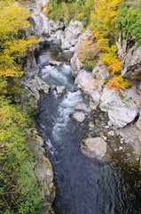 Il torrente Cervo - Biella 