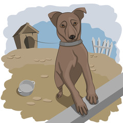 hungry dog ​​illustration