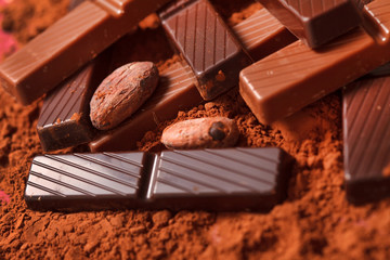 chocolate with cocoa beans