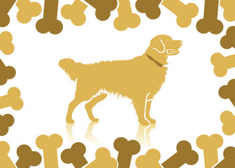 Golden retriever background