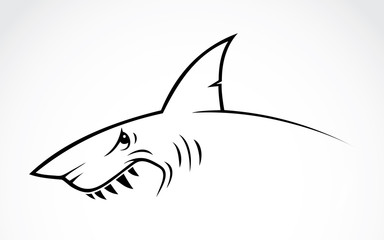 Fototapeta premium Shark tattoo