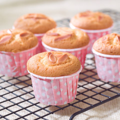 Delicious cupcakes topping with almond nice for party snack