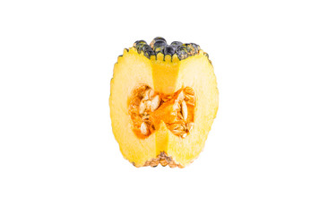 Piece of pumpkin isolated on white background,with clipping path