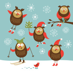 set of funny owls
