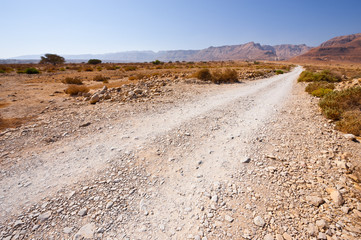 Road in Desert