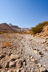 Riverbed