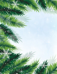 Obraz premium Christmas tree branches