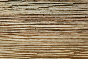 wood texture