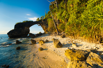 Natural Bridge Landmark Beach High Tide Bushes