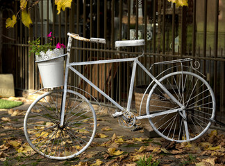 Old bicycle with basket of flowers