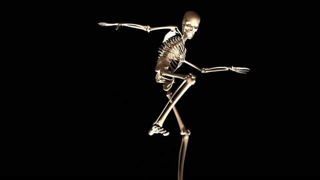 Posing Skeleton