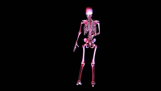 Posing Skeleton