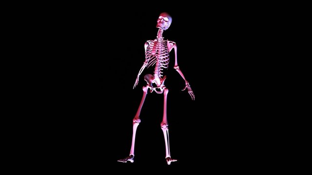 Posing Skeleton