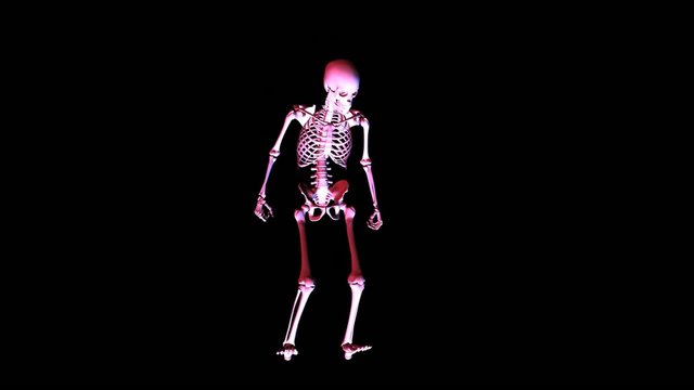 Skeleton posing