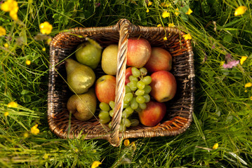 Obstkorb in der Blumenwiese