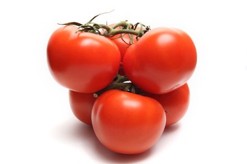 tomatoes