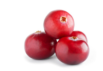 Fresh cranberry