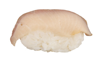 closeup of a young yellow-tail sushi