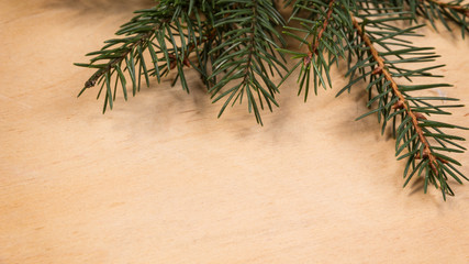 fir branch on wood surface