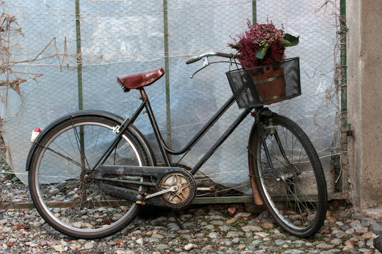 bicycle flowers
