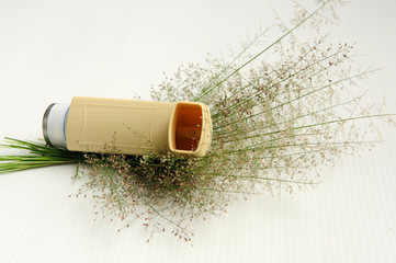 Asthma inhaler and grass flower on white background