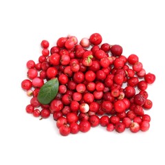 Cowberry
