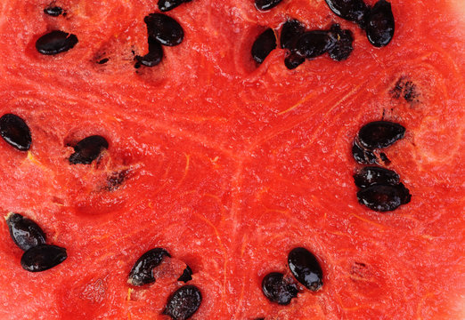 slice of watermelon as food background