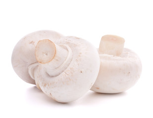 Champignon mushroom