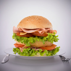 Fast food big sandwich  on plate