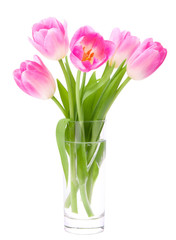 Pink tulips bouquet in vase isolated on white background