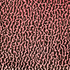 Abstract leather texture closeup