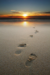footprints in sand at beach - 46827947