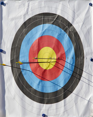 Archery Target